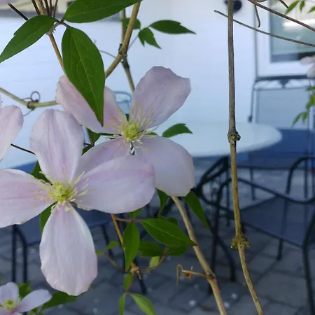 Lejlighed Kleine Auszeit Nr 2 Masholm